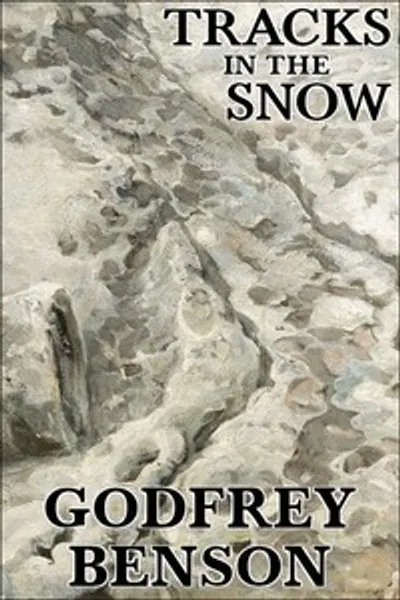Обложка книги "Следы на снегу: История преступления"