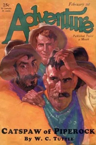 Обложка книги "Кошачье лапка Пайперока"