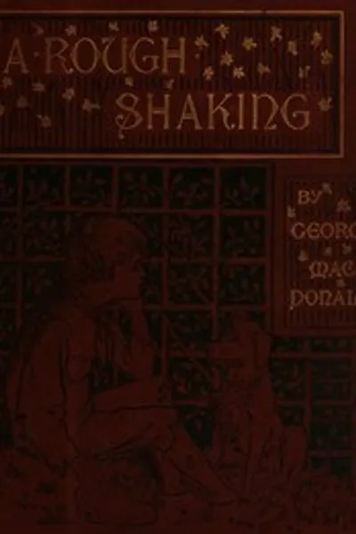Обложка книги "Грубое встряхивание"